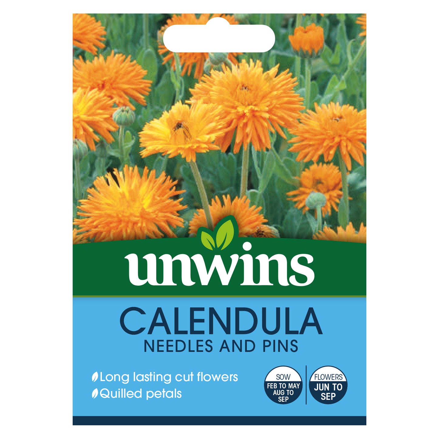 Calendula Needles And Pins