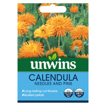 Calendula Needles And Pins