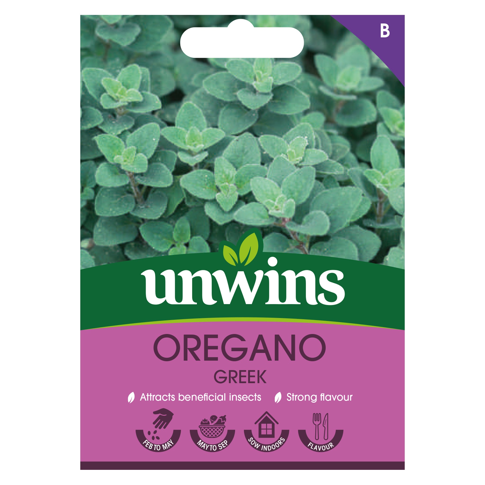 Herb Oregano Greek
