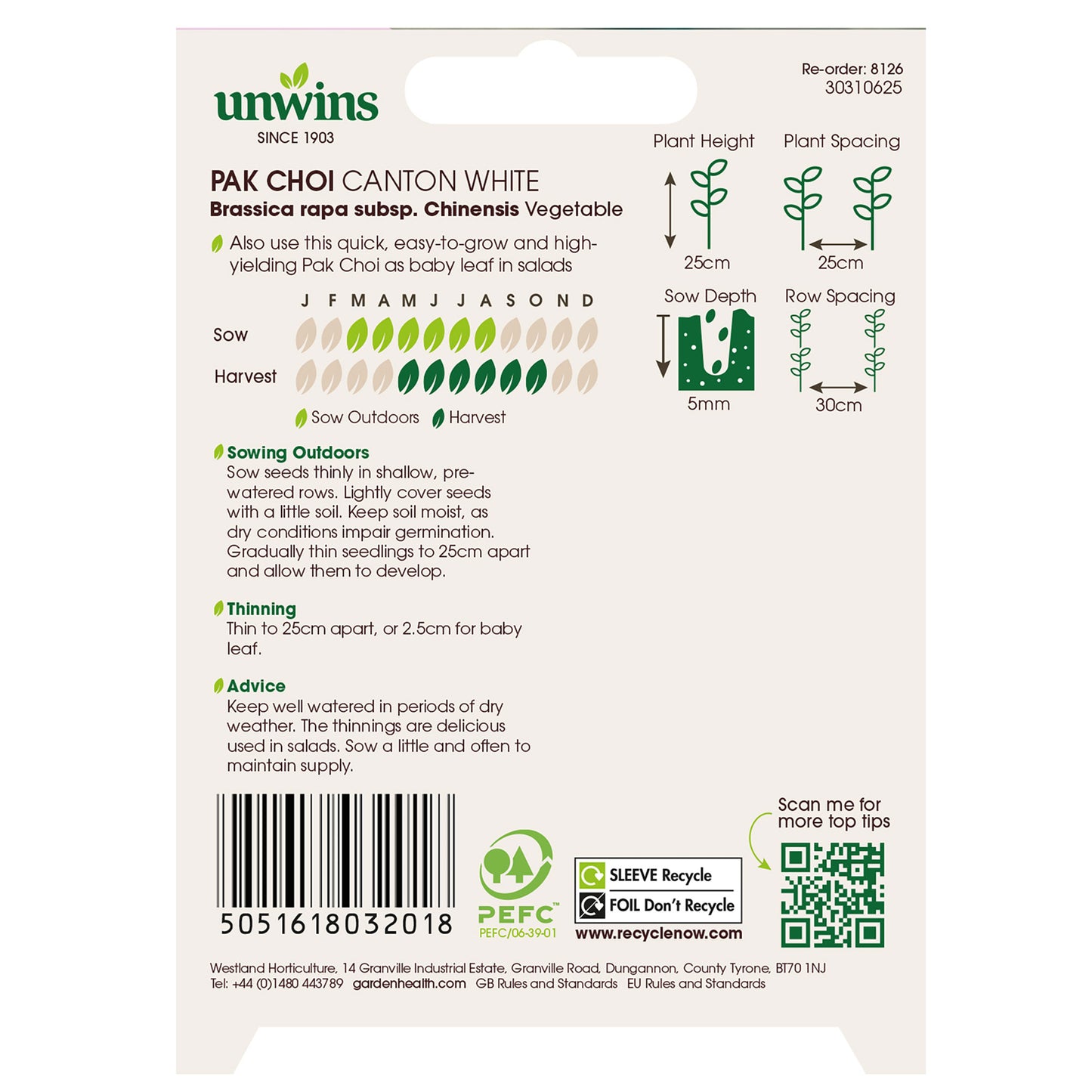 Pak Choi Canton White