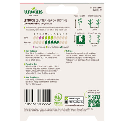 Lettuce (Butterhead) Justine