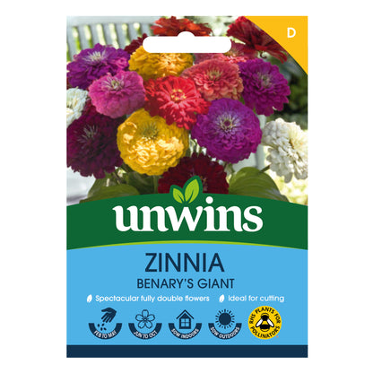 Zinnia Benary's Giant