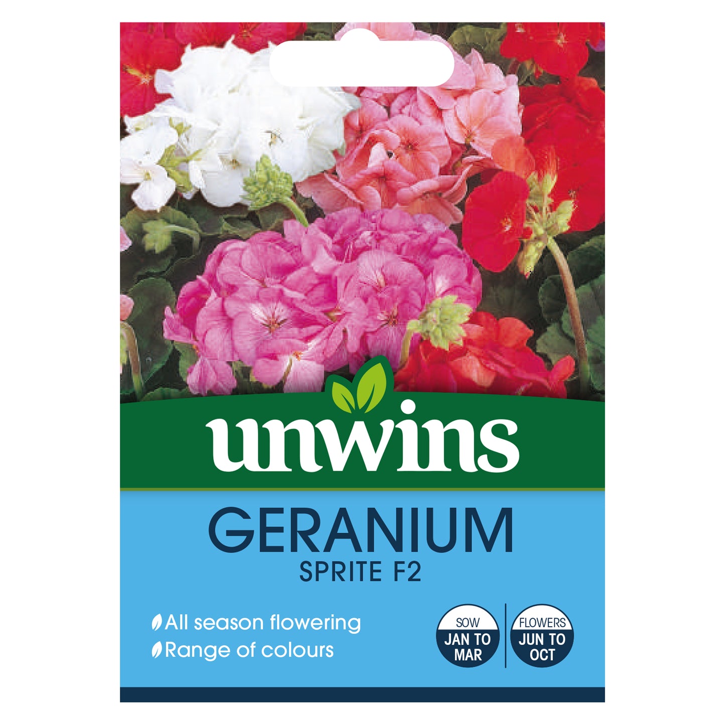 Geranium Sprite F2