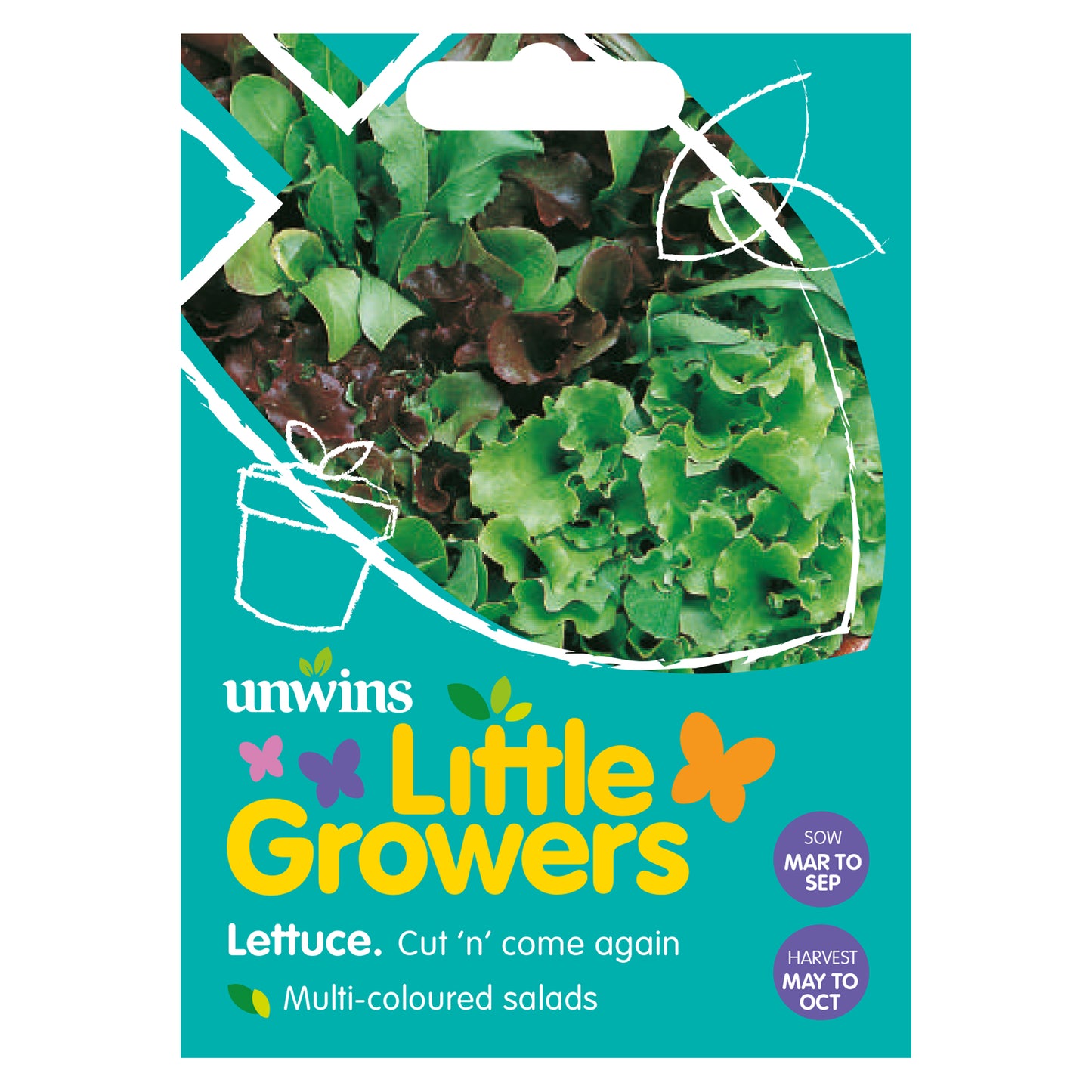 Little Growers Lettuce Cut n' come again