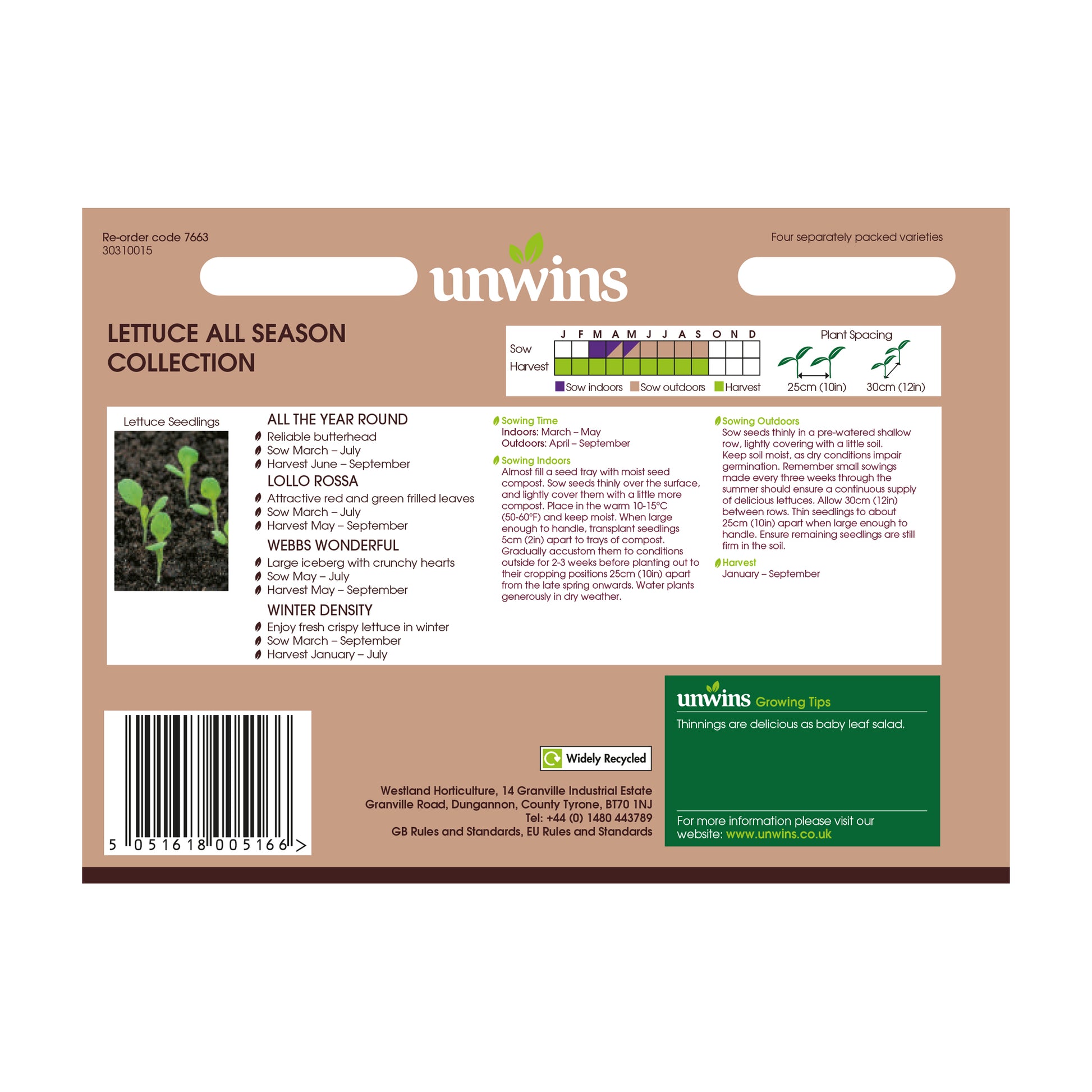 Lettuce All Season Collection Pack