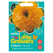 Little Growers Sunflower Teddy Bear