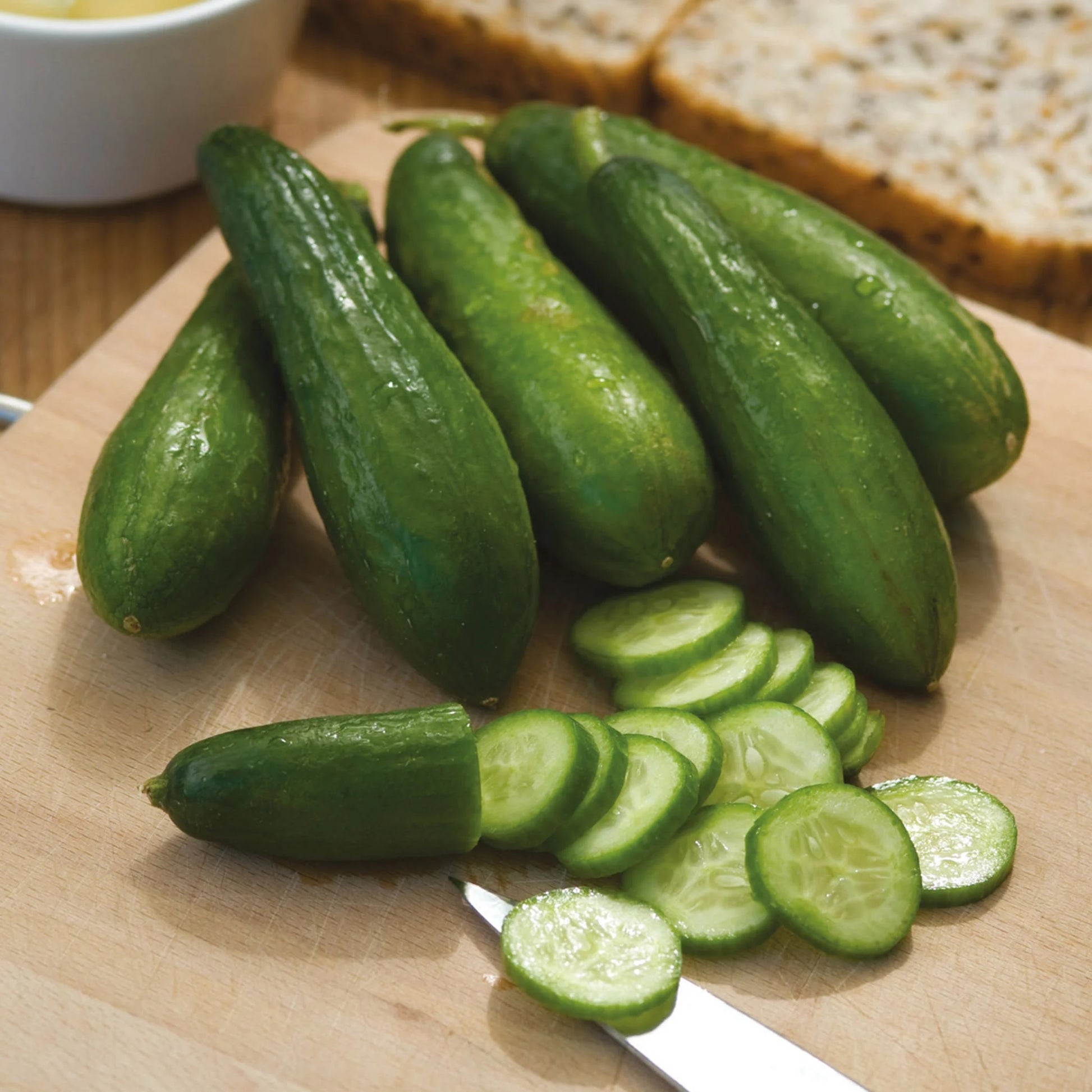 Cucumber Mini Munch F1