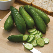 Cucumber Mini Munch F1