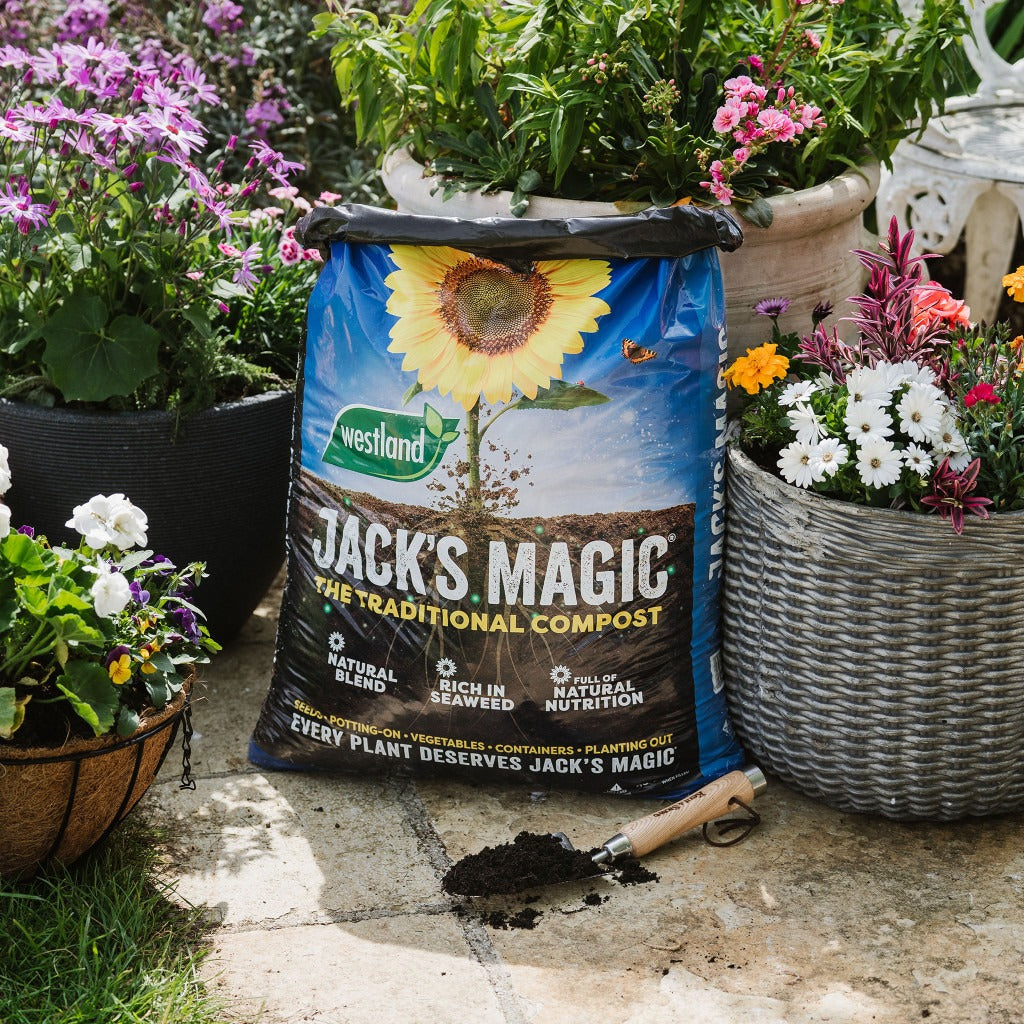 Westland Jack's Magic All Purpose Compost (Traditional Blend) 50 Litre