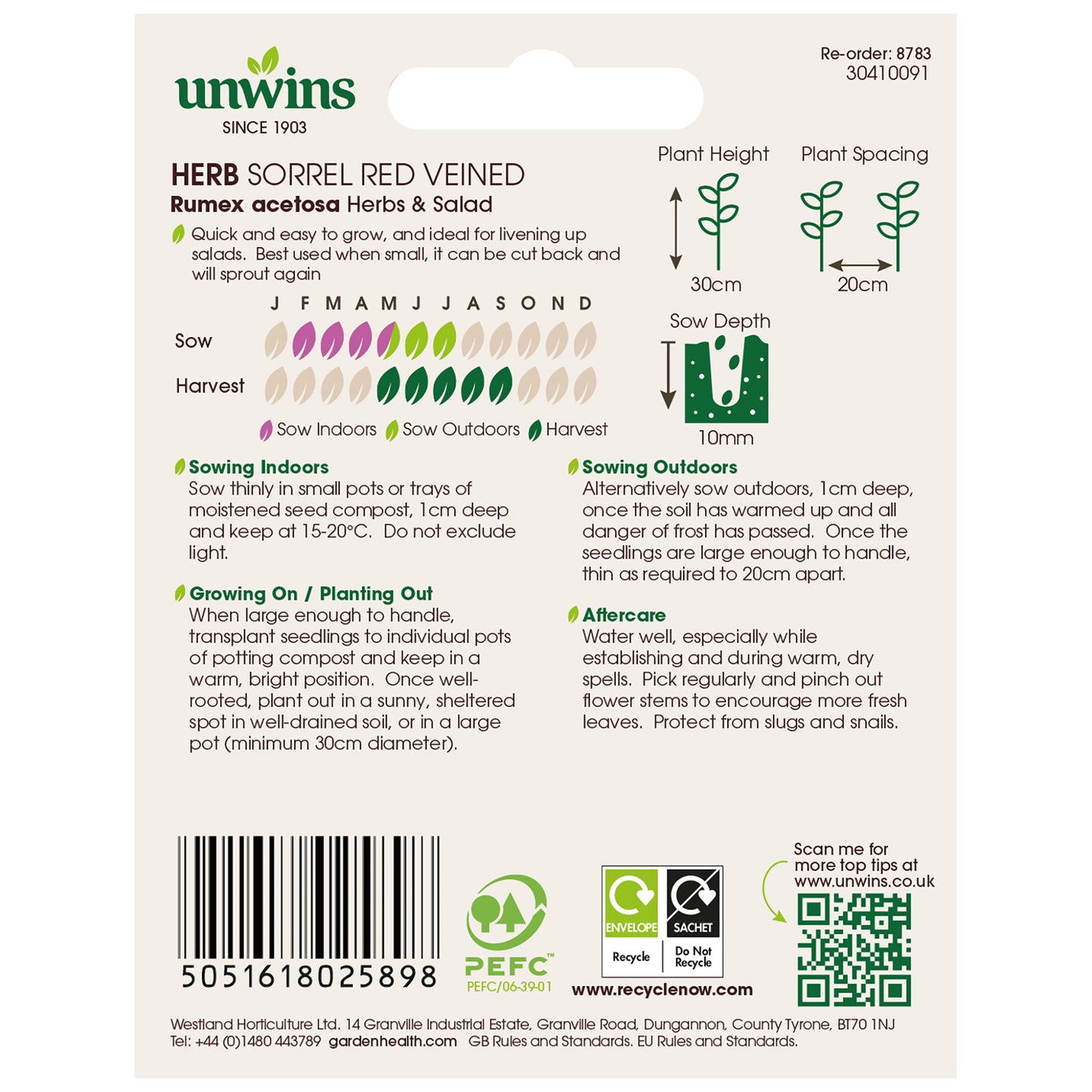 Herb Sorrel Red Veined