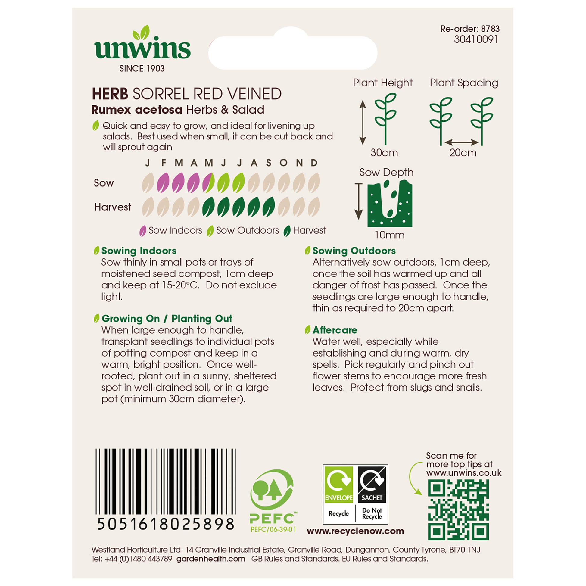 Herb Sorrel Red Veined