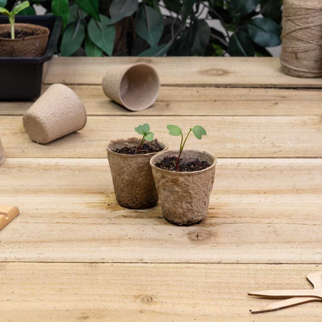Growers Choice Peat Free Pots