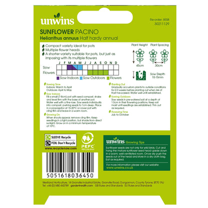 NH Sunflower PacinoFlower