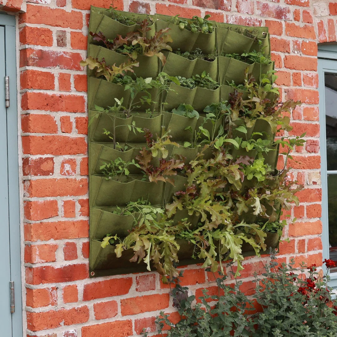 Haxnicks Vigoroot Planter