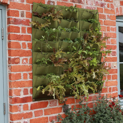 Haxnicks Vigoroot Planter