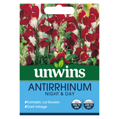 Antirrhinum Night & Day