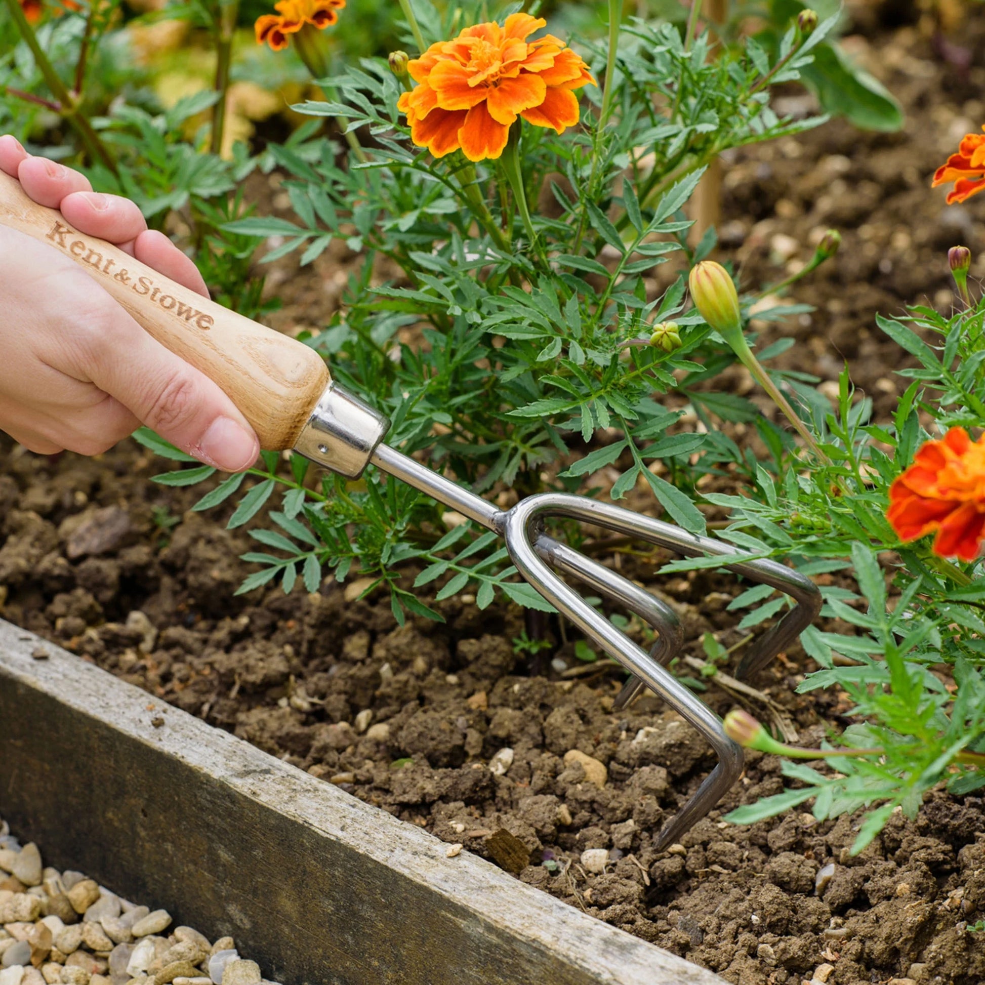 Kent & Stowe Stainless Steel Hand 3 Prong Cultivator