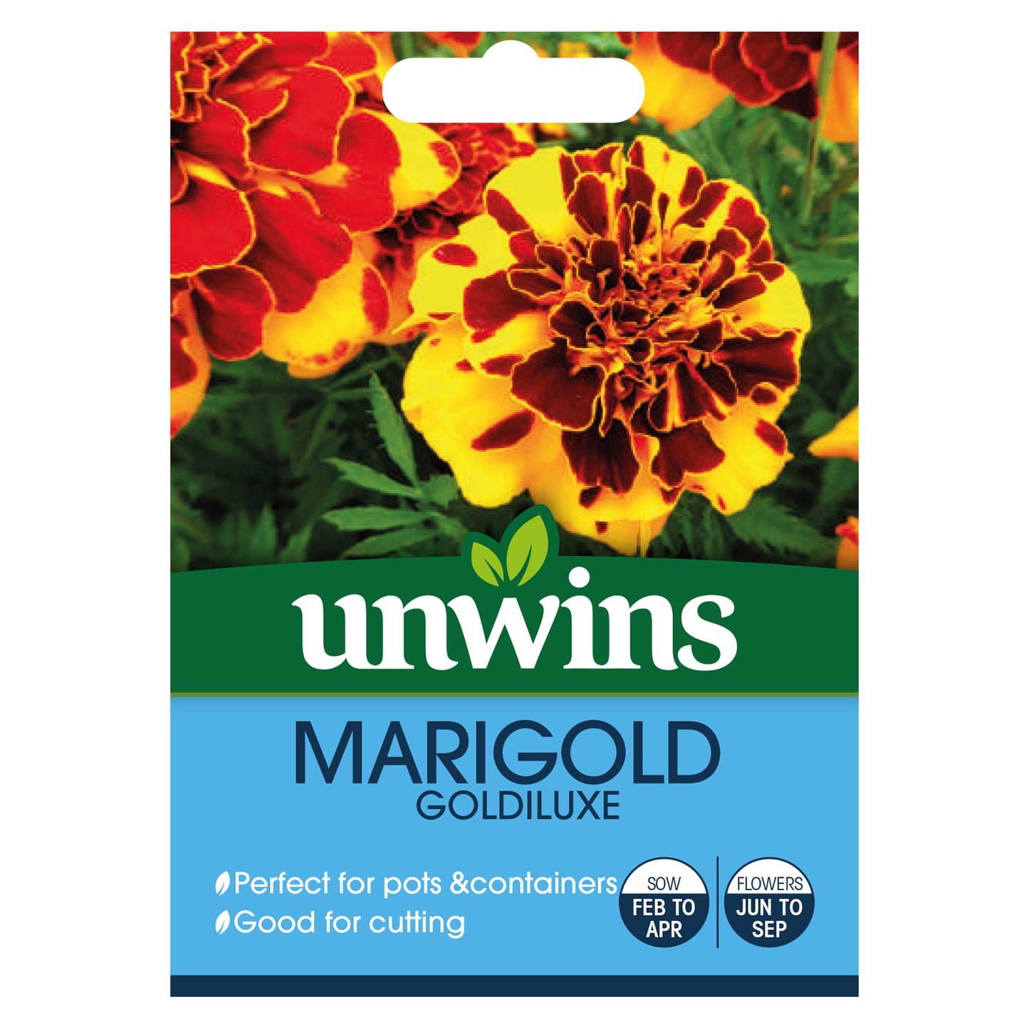 Marigold (French) Goldiluxe