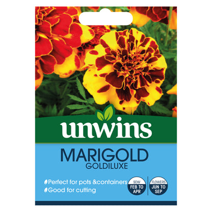 Marigold (French) Goldiluxe