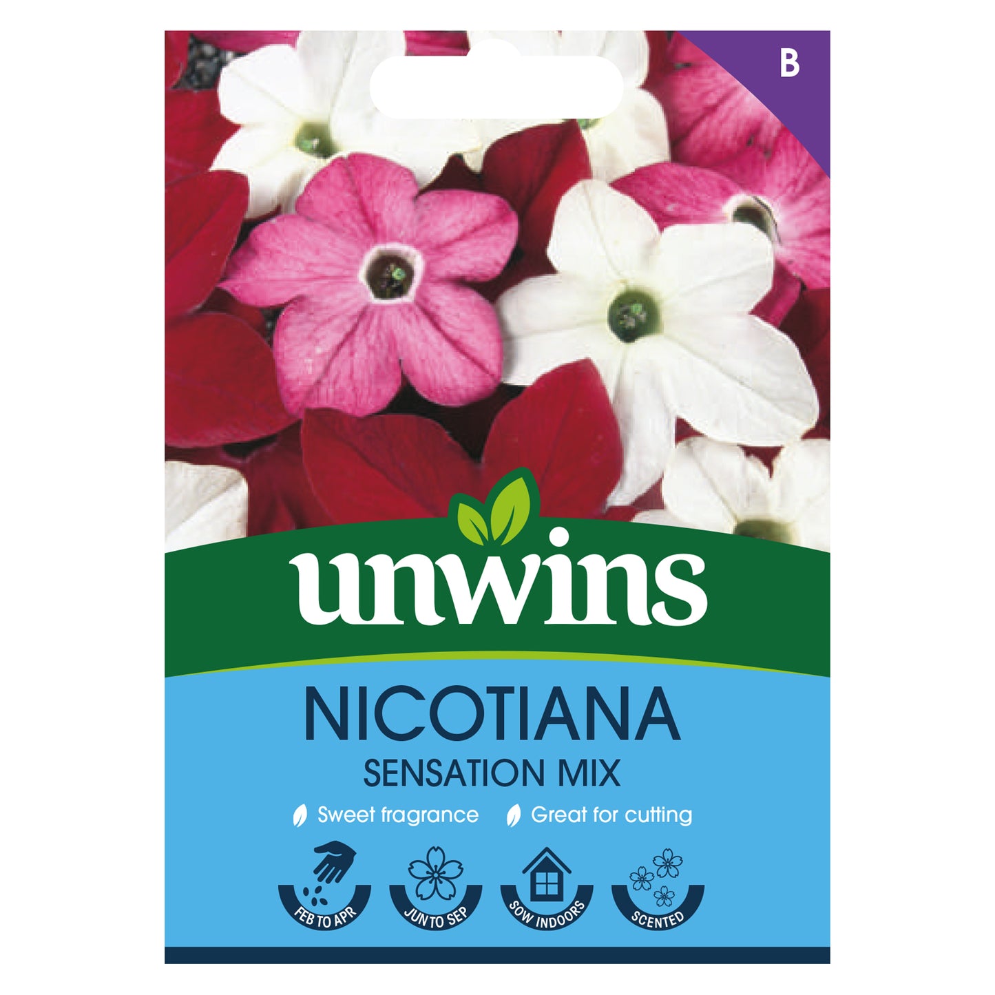 Unwins Fragrant Blooms for Bouquets Seed Bundle