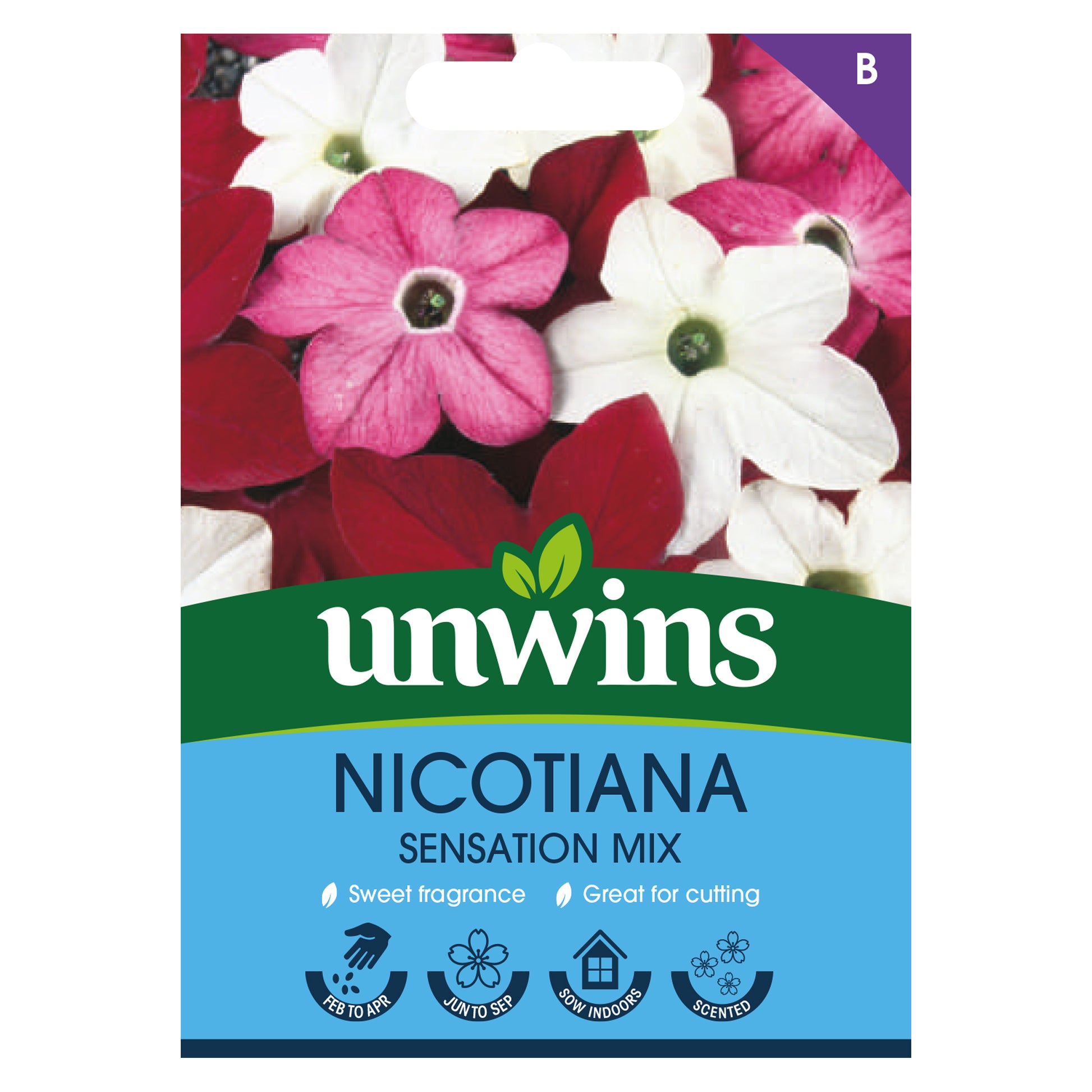 Unwins Fragrant Blooms for Bouquets Seed Bundle