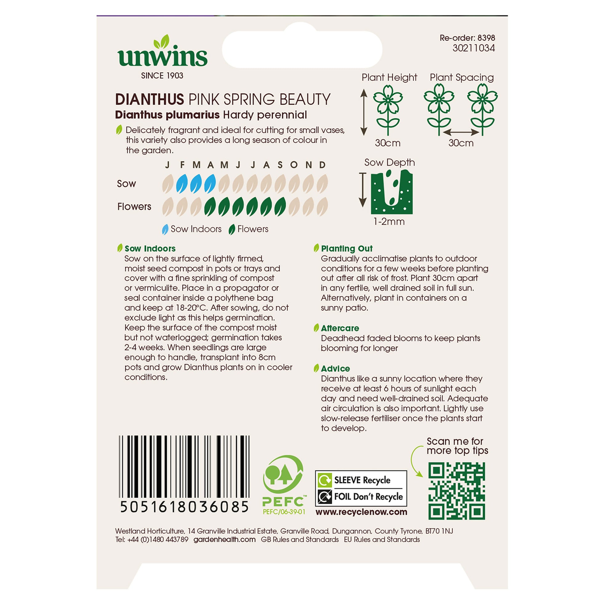 Dianthus Pink Spring Beauty