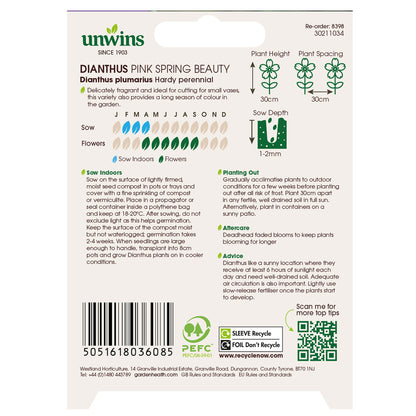 Dianthus Pink Spring Beauty