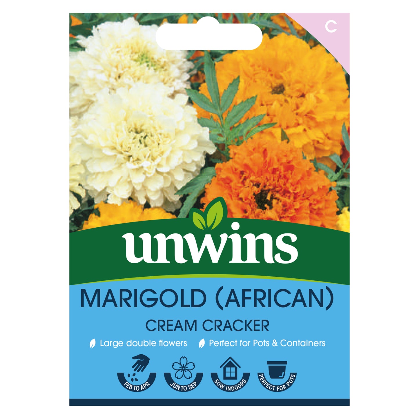 Marigold (African) Cream Cracker