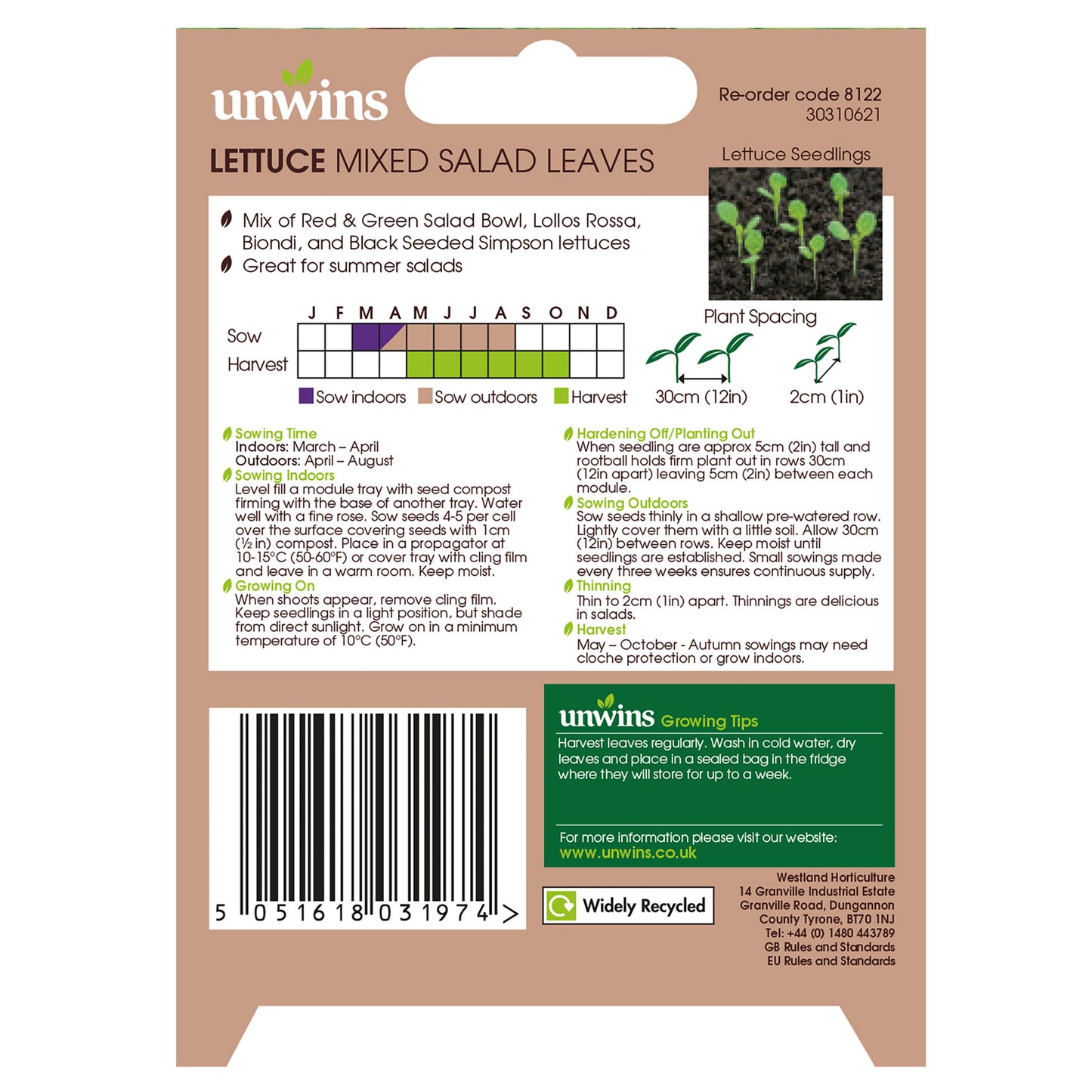 Salad Leaf Mixed leaves