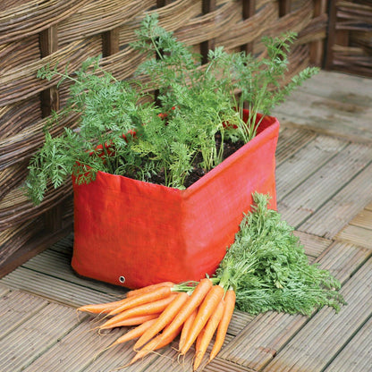 Haxnicks Patio Planters