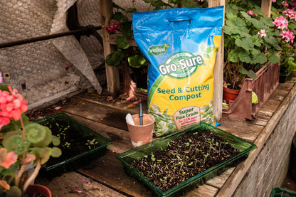 Westland Gro-Sure Seed & Cutting Compost Bale 20L