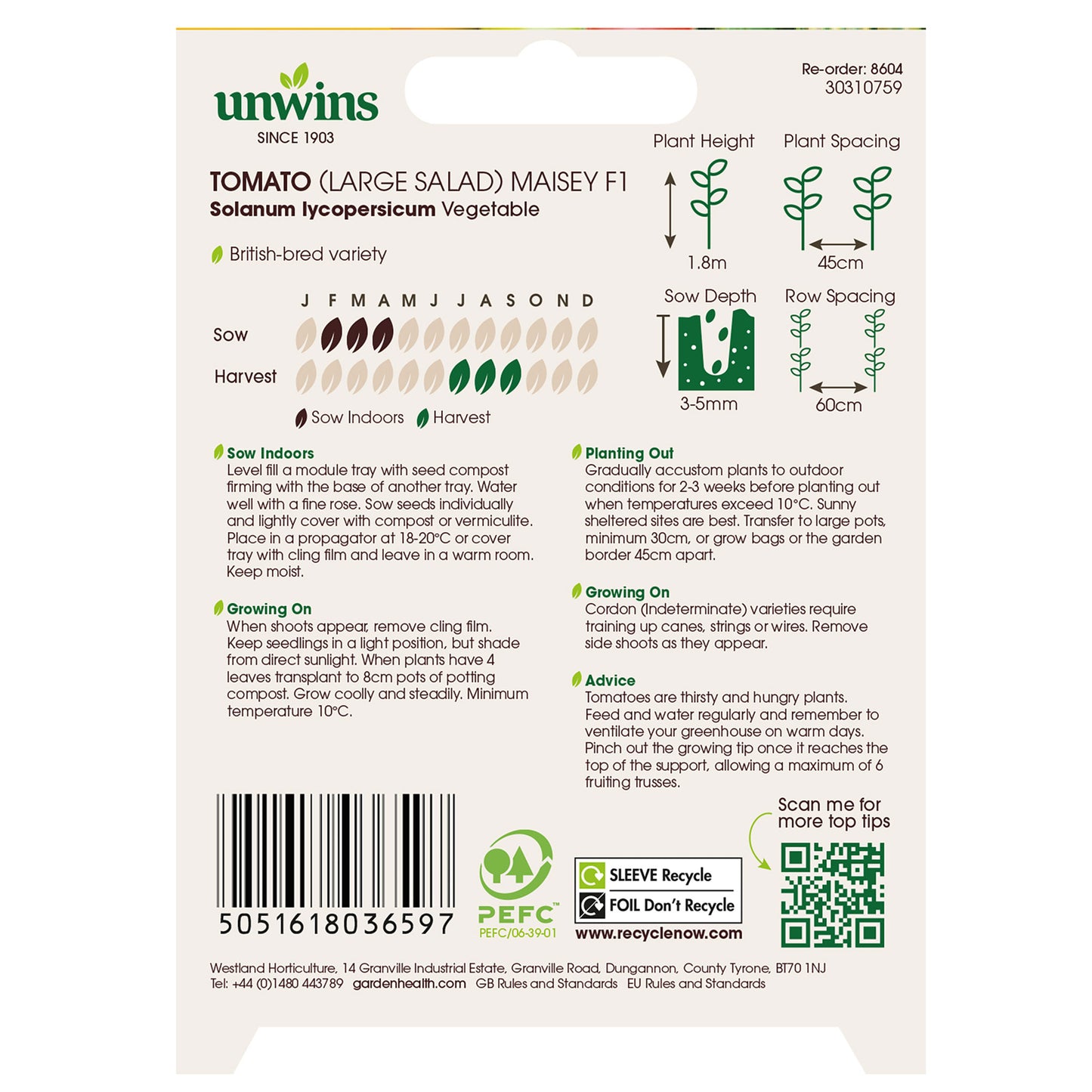 Tomato (Salad) Maisey F1