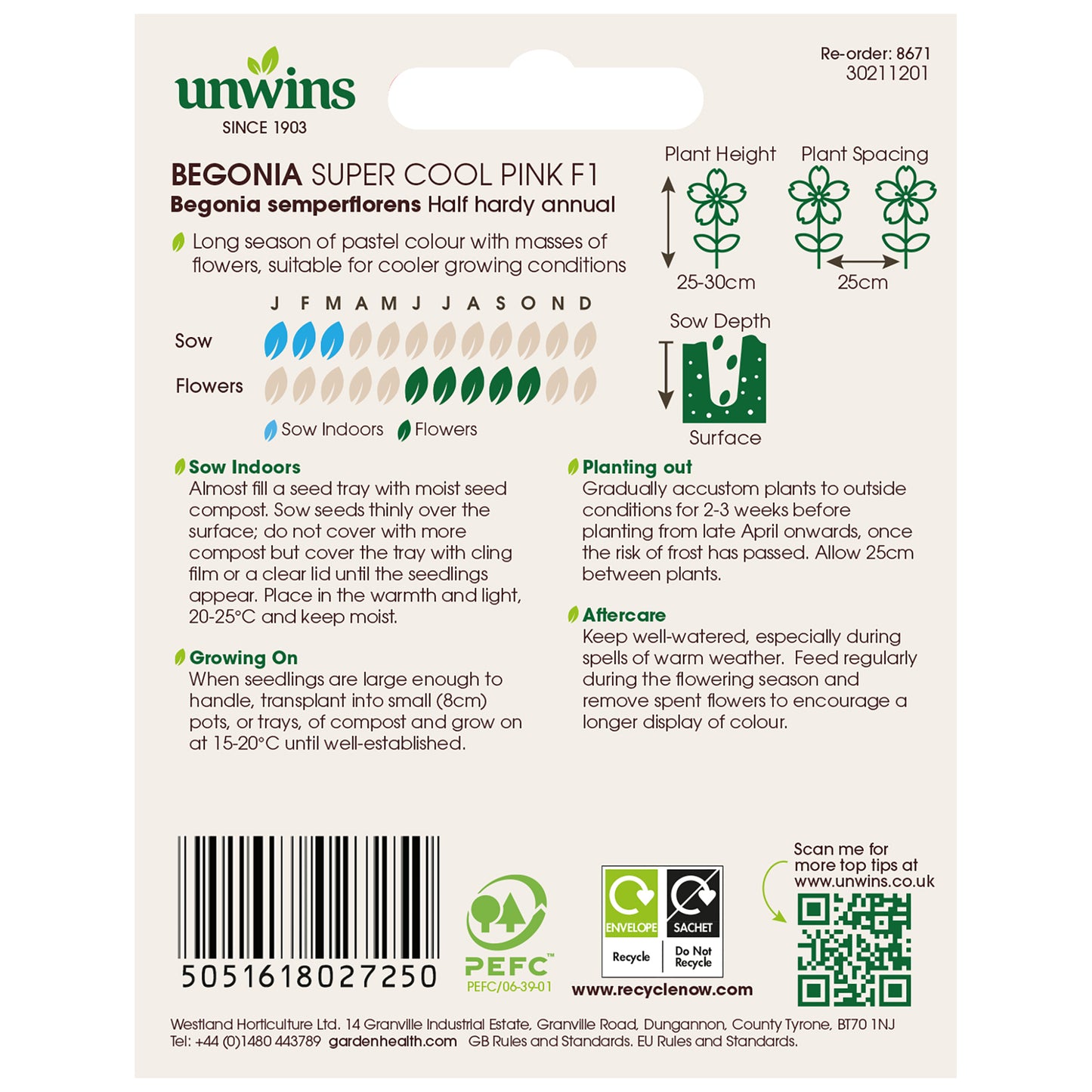 Begonia Super Cool Pink F1