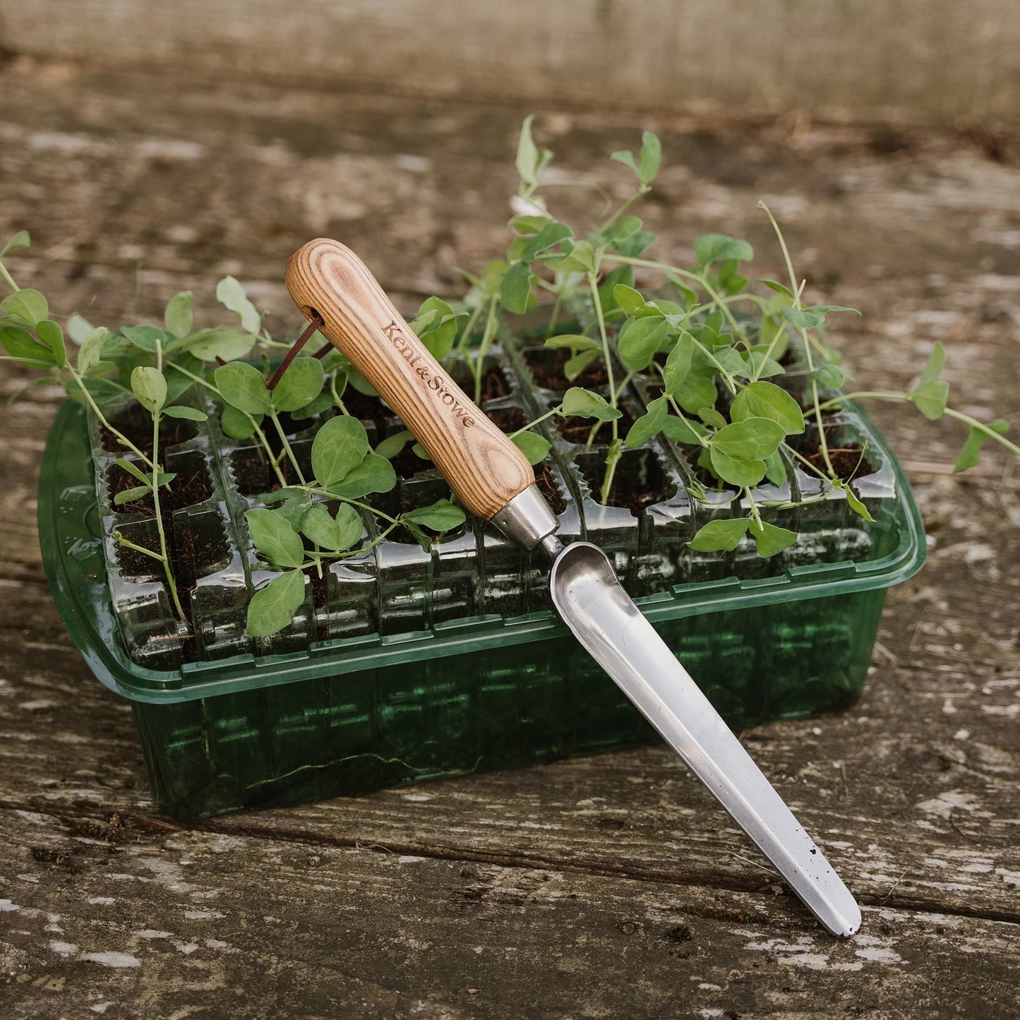 Kent & Stowe Stainless Steel Hand Widger