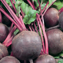 Beetroot Detroit 2