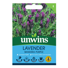 Lavender Bandera Deep Purple