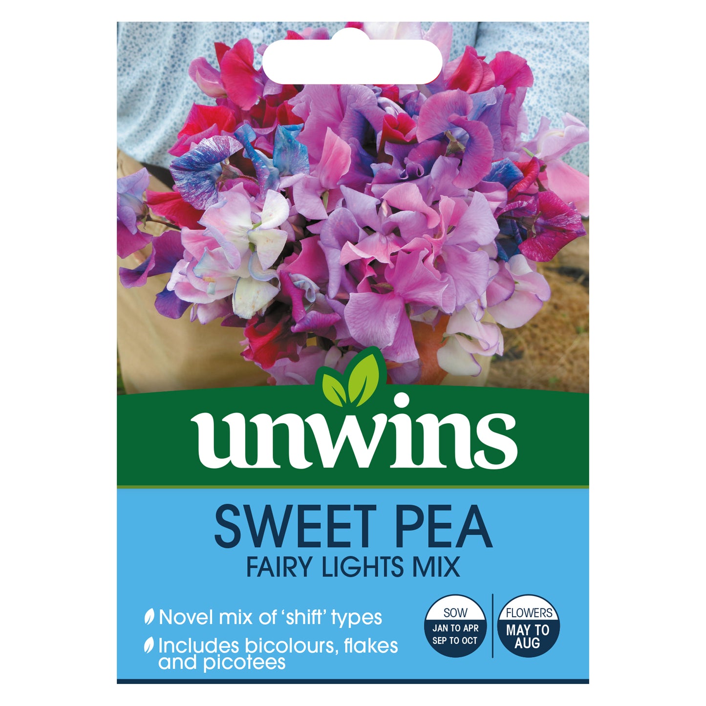 Sweet Pea Fairy Lights