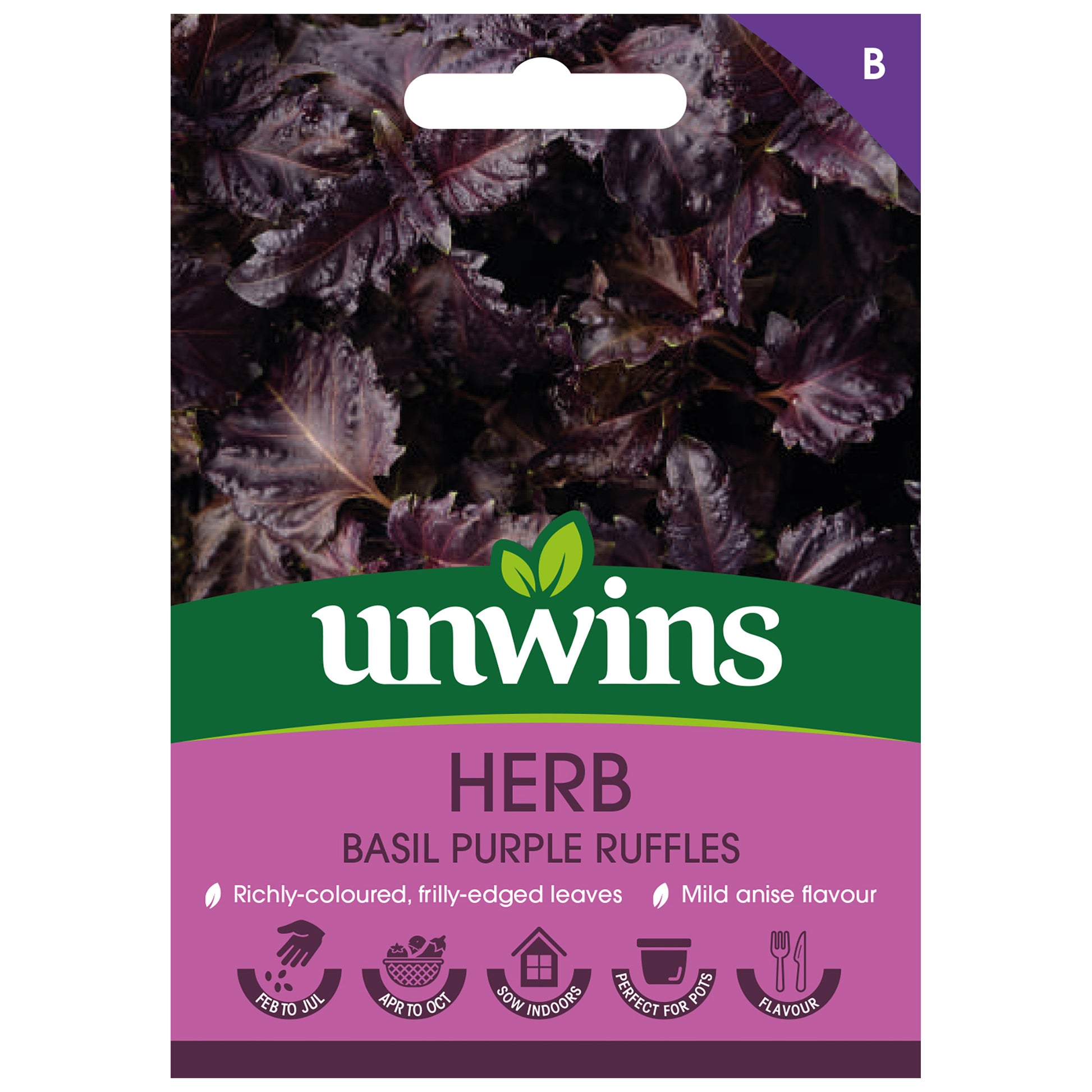 Herb Basil Purple Ruffles