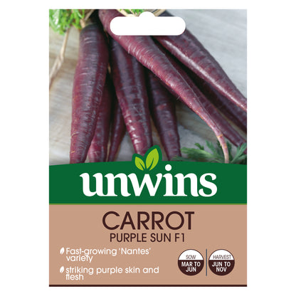 Carrot Purple Sun
