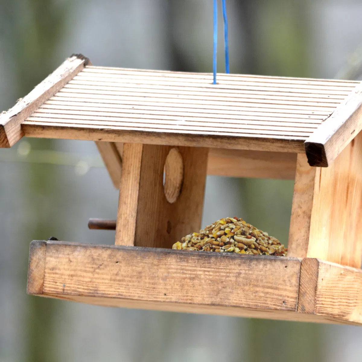 Copdock Mill Wild Bird Mix Supreme 2.5kg