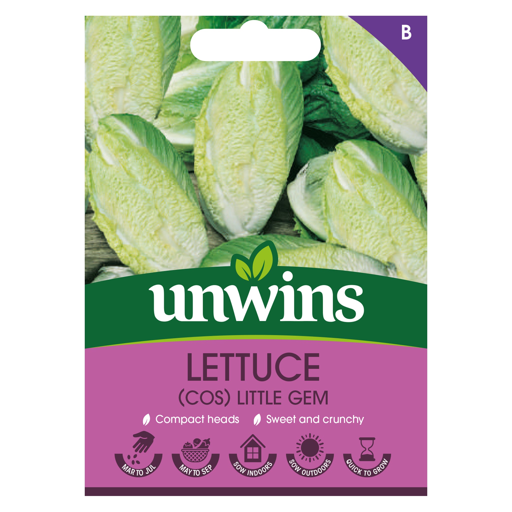 Lettuce (Cos) Little Gem