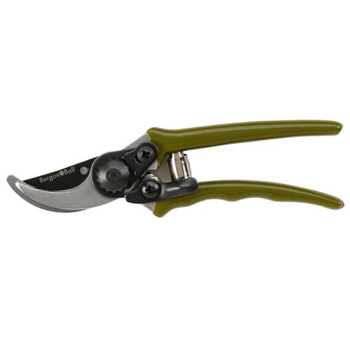 Burgon & Ball Collectors Olive Micro Secateurs
