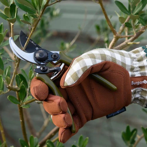 Burgon & Ball Collectors Olive Micro Secateurs