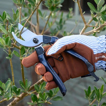 Burgon & Ball Collectors Bypass Secateurs