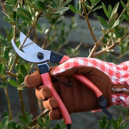 Burgon & Ball Collectors Bypass Secateurs