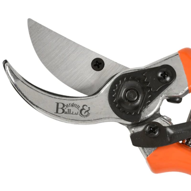 Burgon & Ball Bypass Secateurs