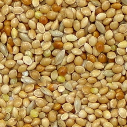 Marriage's Budgie Food 1kg