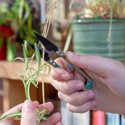 Burgon & Ball Essential Tools - Mini Snips