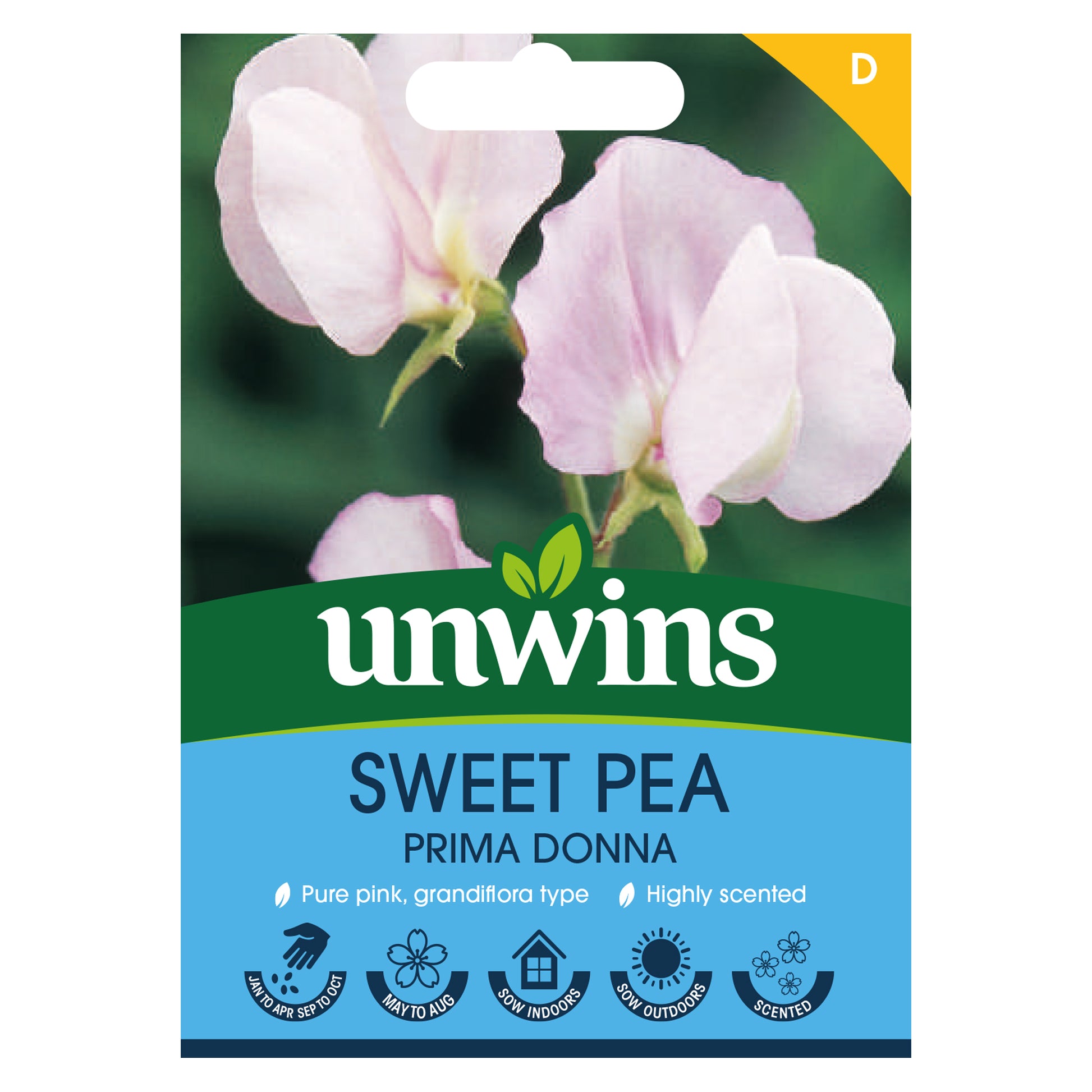 Sweet Pea Prima Donna