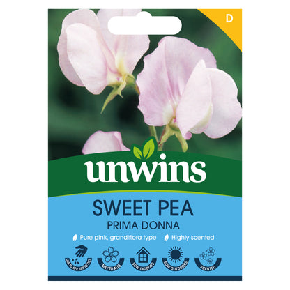 Sweet Pea Prima Donna